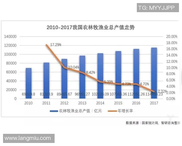 全运会特别报道：西安排球队转型之路的挑战与机遇解析