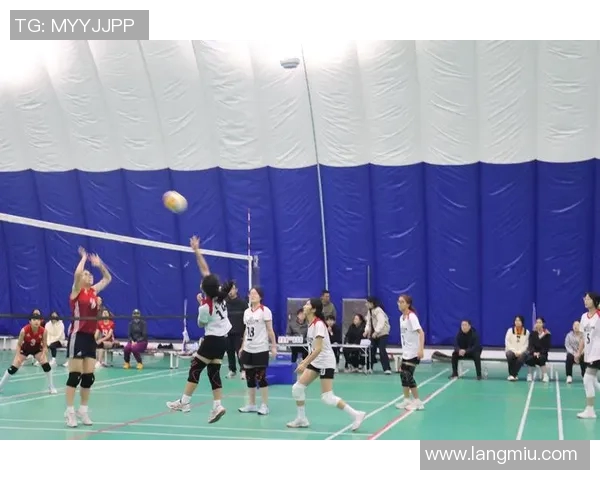 北京排球队在挑战赛中的经验与表现深度解析 北京排球队在挑战赛中的经验与表现深度解析