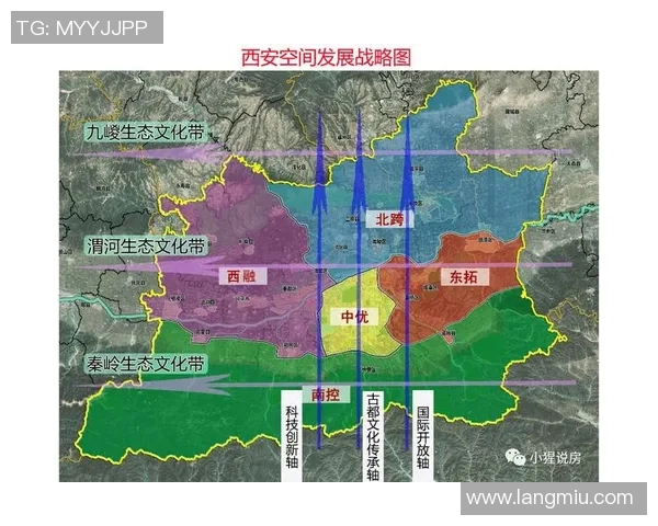 深入探讨上海乒乓球队战术表现的数据分析与战略优化研究